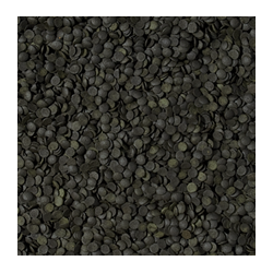 Super Spirulina Forte Chips 5l / 2,6kg 2