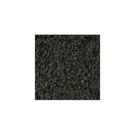 Super Spirulina Forte Chips 100ml / 52g