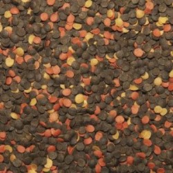 Malawi Chips 1000ml / 520g 2