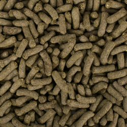 Tropifit ALL IN 1 - Cavia 500g 2