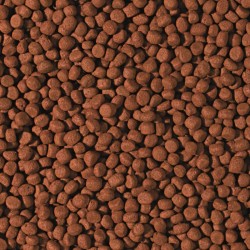Cichlid Carnivore Medium Pellet 10l / 3,6kg 2