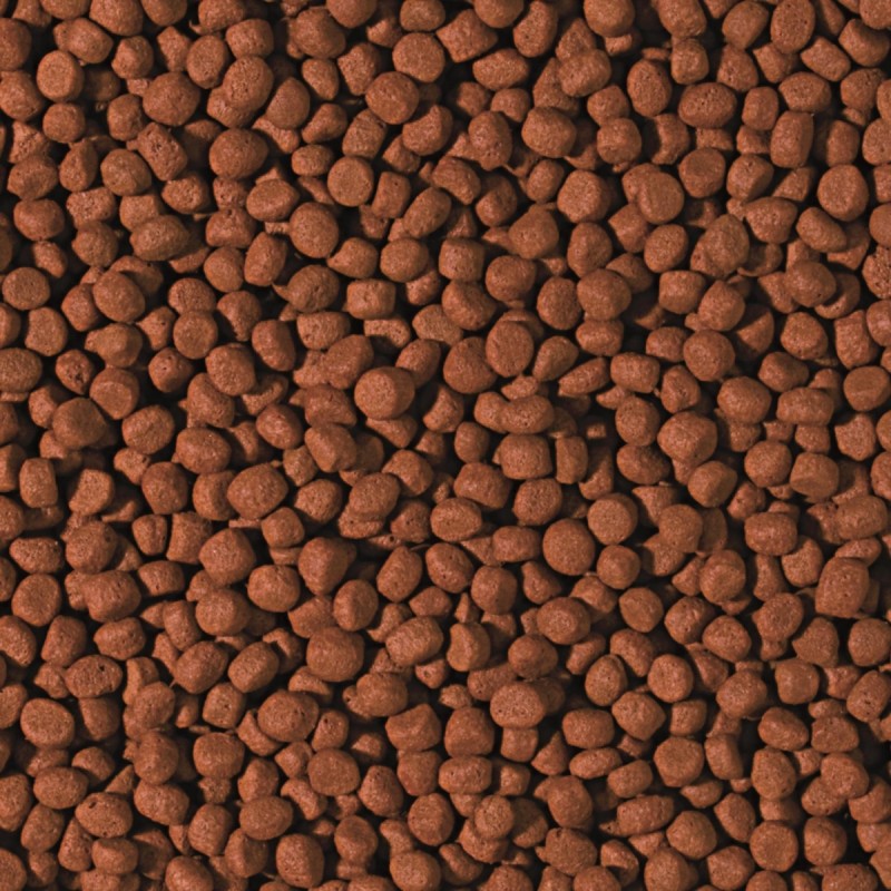 Cichlid Carnivore Medium Pellet 1000ml / 360g