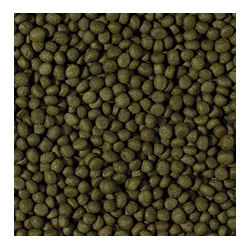 Cichlid Herbivore Medium Pellet 1000ml / 360g 2