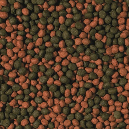 Cichlid Omnivore Medium Pellet 10l / 3,6kg