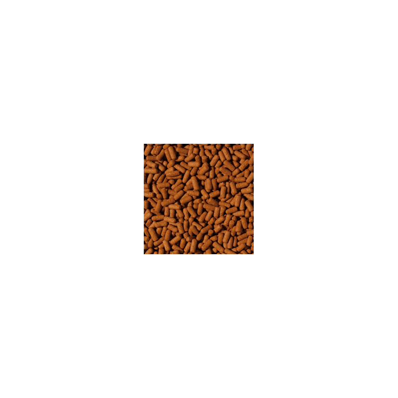 Cichlid&Arowana Large Stickszip lock sachet 250g