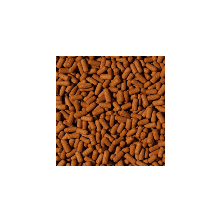 Cichlid&Arowana Large Sticks 250ml / 75g