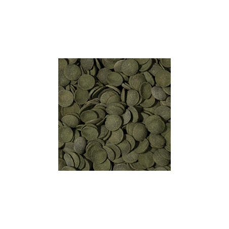 Green Algae Wafers 1000ml / 450g