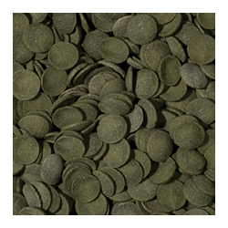 Green Algae Wafers 250ml / 113g 2