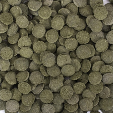 Hi-Algae Discs  100ml / 60g