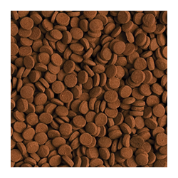 Carnivore 500ml / 300g 2