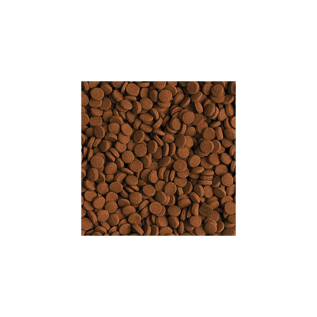 Carnivore 500ml / 300g