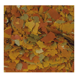 Goldfish Color  11l / 2kg 2