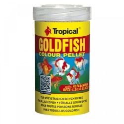 Goldfish Colour Pellet  100ml / 36g