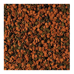 Bionautic Chips 1000ml / 520g 2