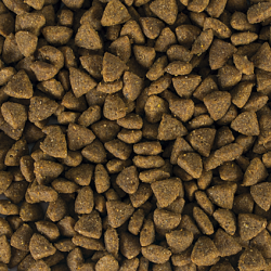 Tropicat Sterilized  10kg 2