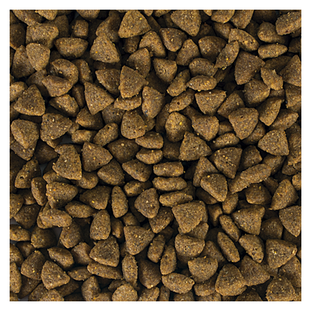 Tropicat Sterilized 10kg
