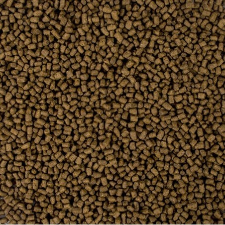 Tropicat Kitten  2kg