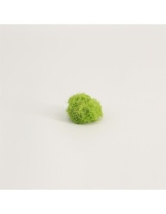 Utricularia (Cup 80 cc)