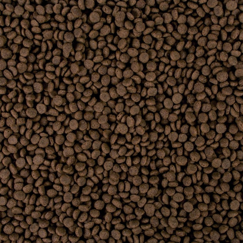 Tropicat Beauty  10kg