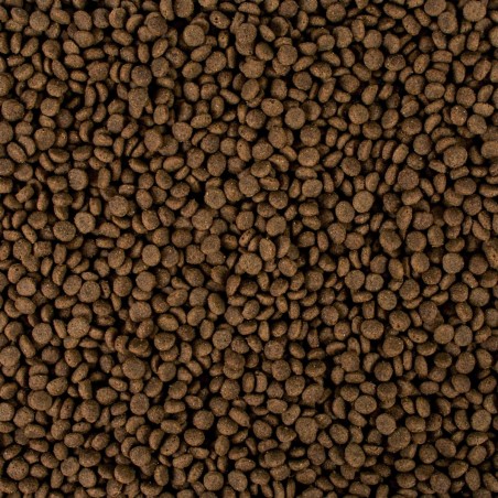 Tropicat Digest 10kg