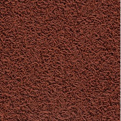 Soft Line Africa Carnivore Size S 100ml / 60g 2