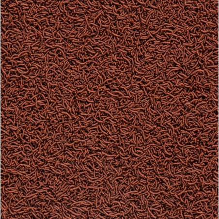 Soft Line Africa Carnivore Size S 100ml / 60g