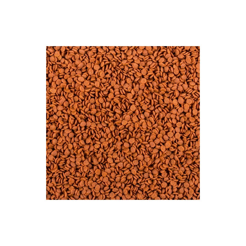 Soft Line Africa Carnivore Size M 250ml / 130g