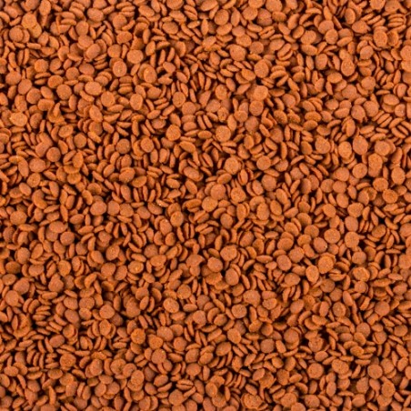 Soft Line Africa Carnivore Size M 100ml / 52g