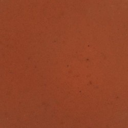 Gel Formula for Carnivorous Fishsachet 35g 2