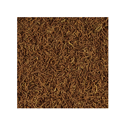 FD Blood Worms 250ml / 17g 2