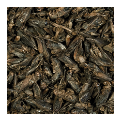 Crickets 250ml / 25g 2