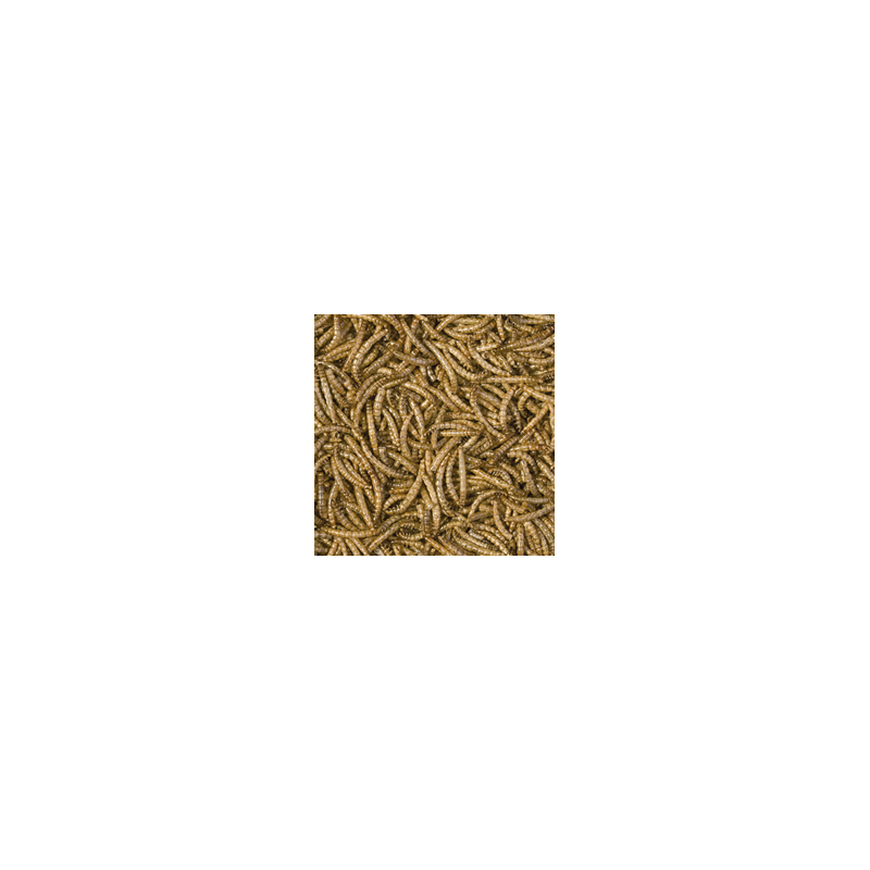 Meal worms 250ml / 30g