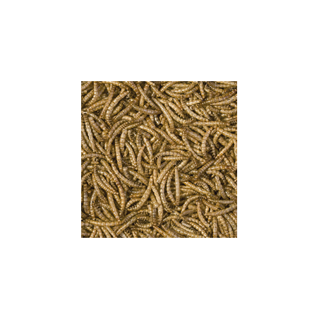 Meal worms 100ml / 13g