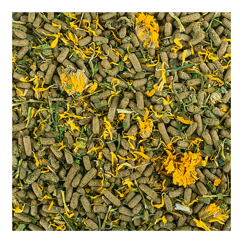 Soft Line Reptiles Herbivore250ml / 65g