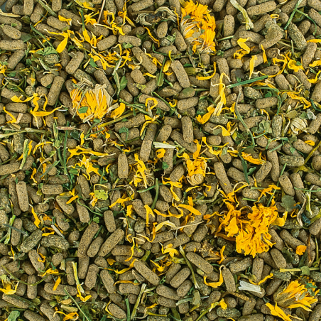 Soft Line Reptiles Herbivore250ml / 65g