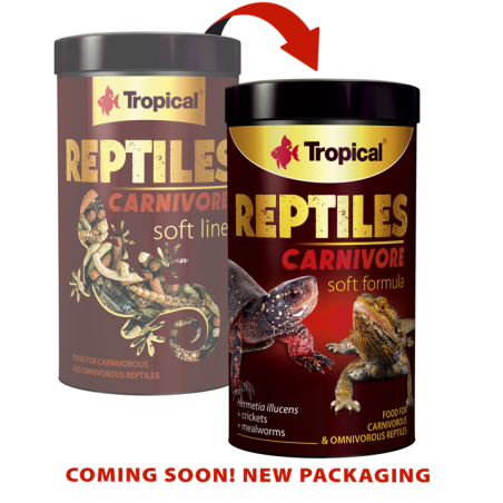 Soft Line Reptiles Carnivore1000ml / 260g