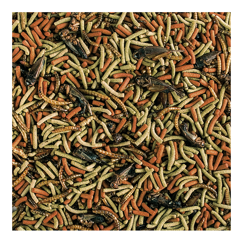 Soft Line Reptiles Carnivore1000ml / 260g