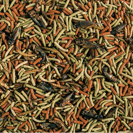 Soft Line Reptiles Carnivore250ml / 65g