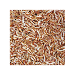 Gammarus 1000ml / 120g 2
