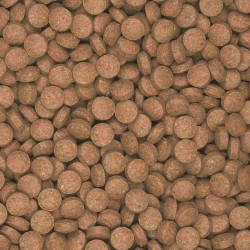 Supervit Tablets B  2kg / approx. 10.000pcs 2