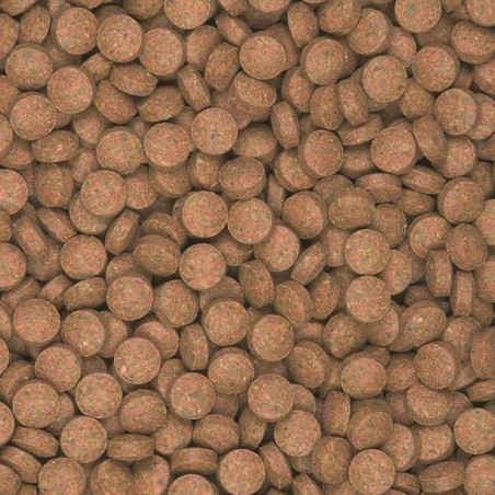 Supervit Tablets B  2kg / approx. 10.000pcs