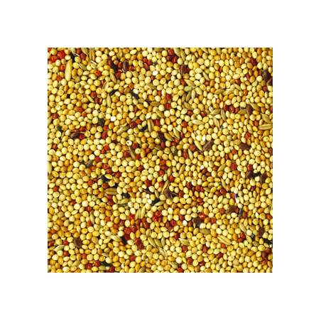 Tropifit Exoten 700g