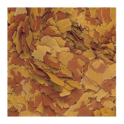 Vitality&Color 5l / 1kg 2