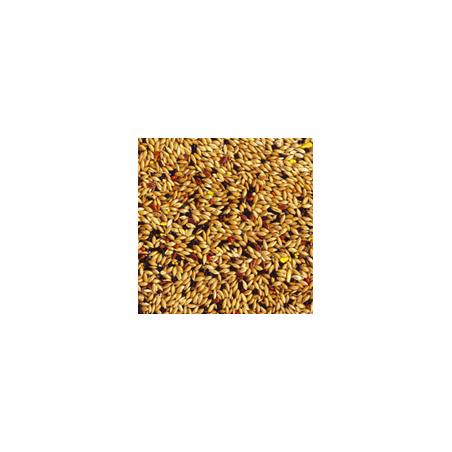 Tropifit Canary 700g