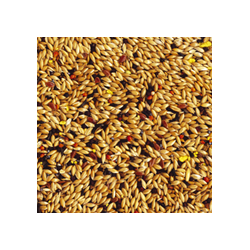 Tropifit Canary 250g 2