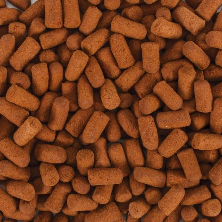 Soft Line Arowana Size XXL 250ml / 80g