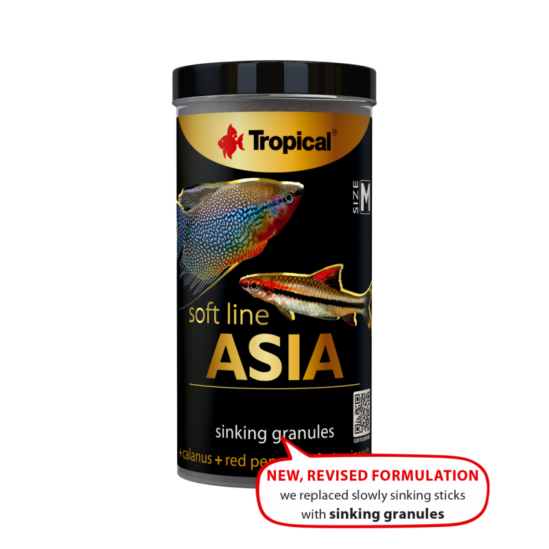 Soft Line Asia Size Msachet 10g