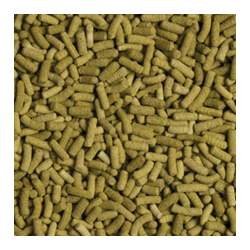 Biorept L 100ml / 28g 2