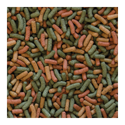 Biorept W 5l / 1,5kg 2