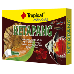 Ketapang30gr